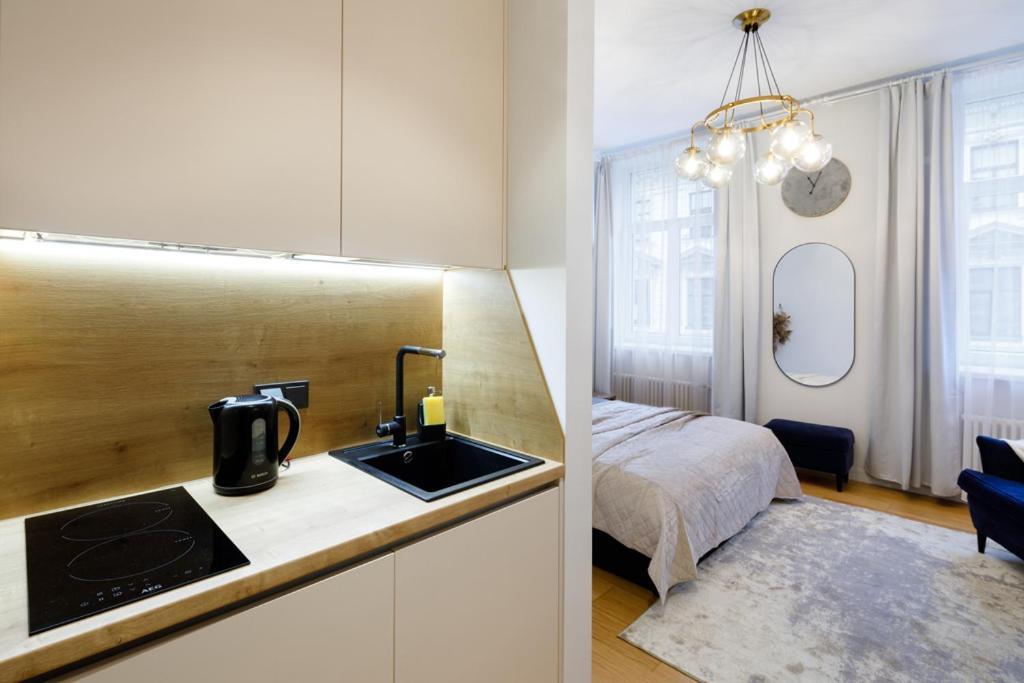 Apartamento Kalnina Street *